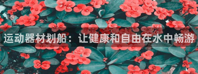 好博体育官方正版app集团官网首页网址：运动器材划船：让健康