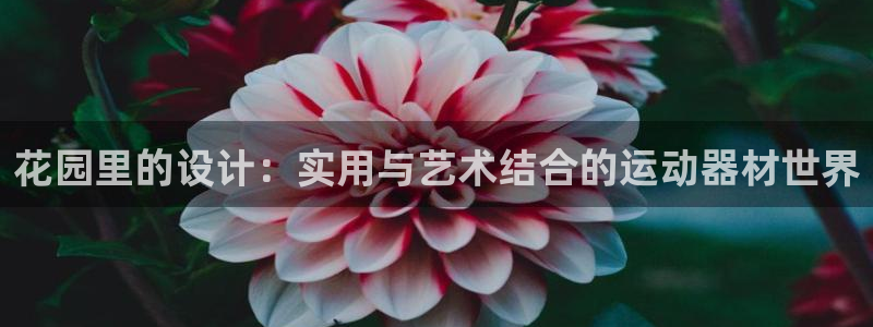 海南好博体育官网下载：花园里的设计：实用与艺术结合的运动器材