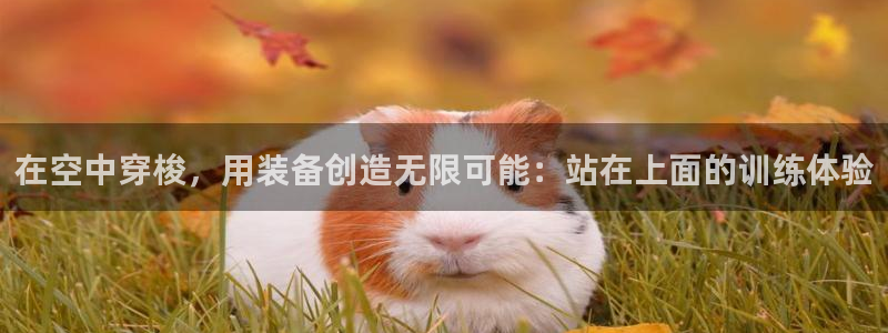 好博体育官方正版app集团官网网址：在空中穿梭，用装备创造无