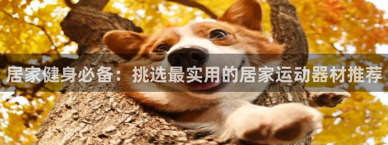 好博体育官网下载招商电话地址是多少：居家健身必备：挑选最实用