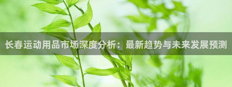 海南好博体育官网下载：长春运动用品市场深度分析：最新趋势与未