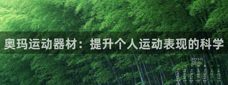 好博体育官网下载招商电话是多少号码：奥玛运动器材：提升个人运