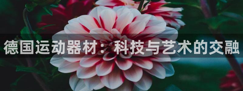 好博体育官方正版app科技：德国运动器材：科技与艺术的交融