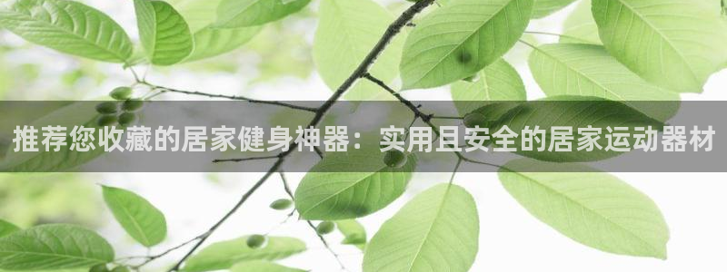 好博体育官方正版app官方：推荐您收藏的居家健身神器