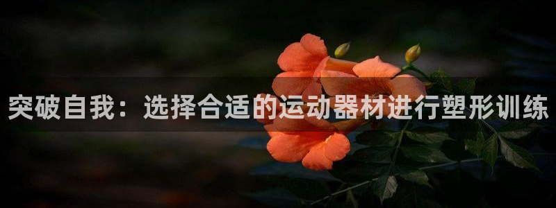 好博体育官方正版app娱乐下载：突破自我：选择合适的