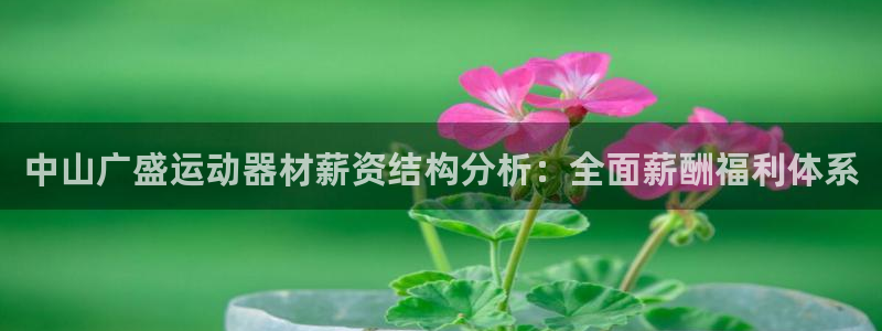 好博体育官方正版app娱乐平台：中山广盛运动器材薪资结构分析